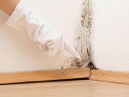 Best Residential Mold Inspection & Testing in Niagara Falls, NY